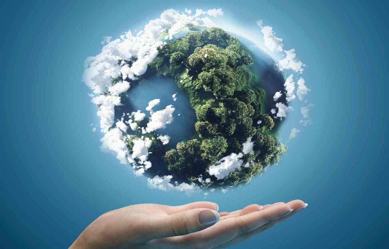 Экология планеты: научный взгляд на сохранение природного баланса - 3